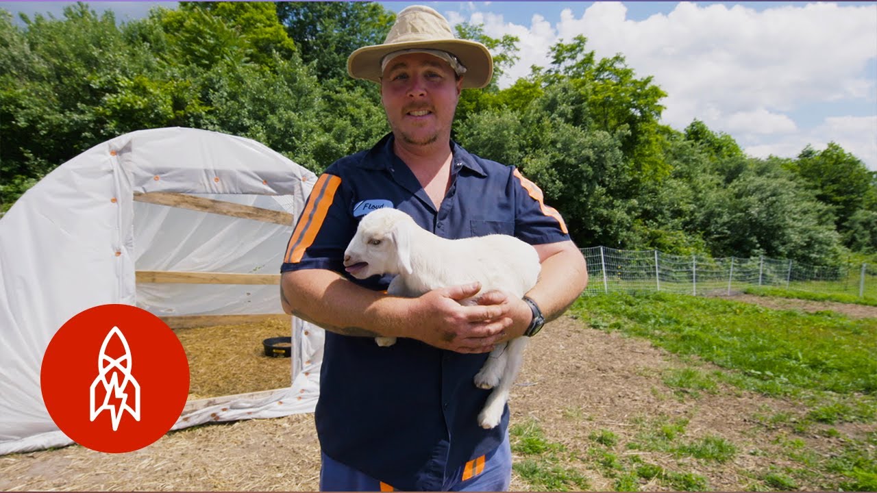 Turning Coal Mines into Farms