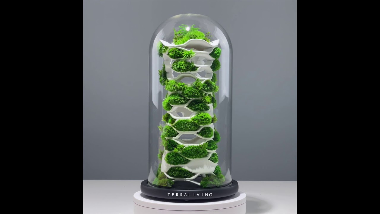 The Chloroplast - a preserved moss terrarium, botanical sculpture by TerraLiving
