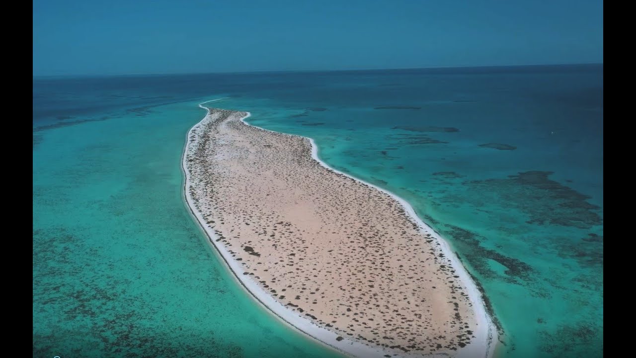 Designs inspired by nature at The Red Sea Project