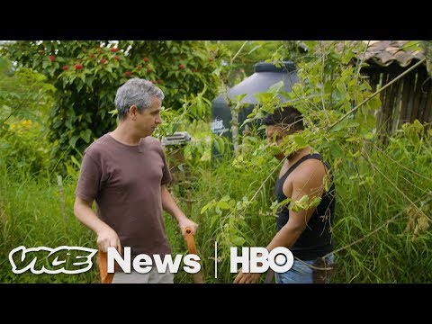 This Farm in Mexico is Growing a Solution to Climate Change (HBO)