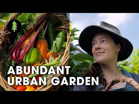 Inspiring Woman Grows a Huge Amount of Food in Her City Permaculture Garden