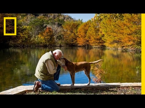 50 Years Ago, This Was a Wasteland. He Changed Everything | Short Film Showcase