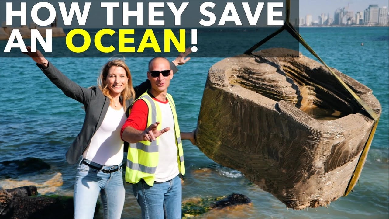 How They Save An Ocean!