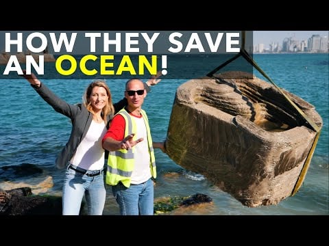 How They Save An Ocean!