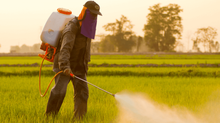 EPA Bans Toxic Pesticide Chlorpyrifos from All Food Crops