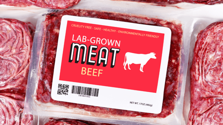 New Facility Can Produce 400,000 Pounds of Lab-Grown Meat a Year