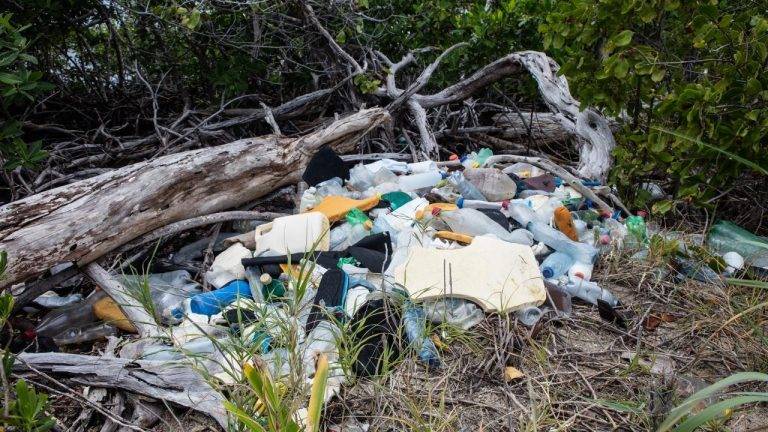 U.S. Voters Want to Ban Plastics from National Parks