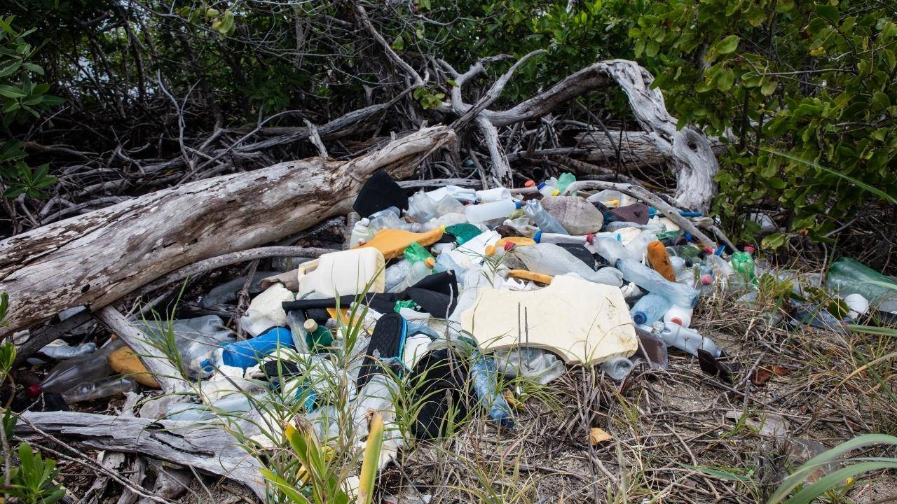 U.S. Voters Want to Ban Plastics from National Parks - GreenCitizen
