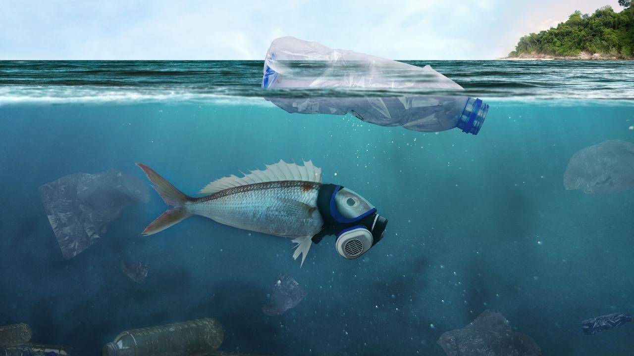 Clean Oceans Initiative