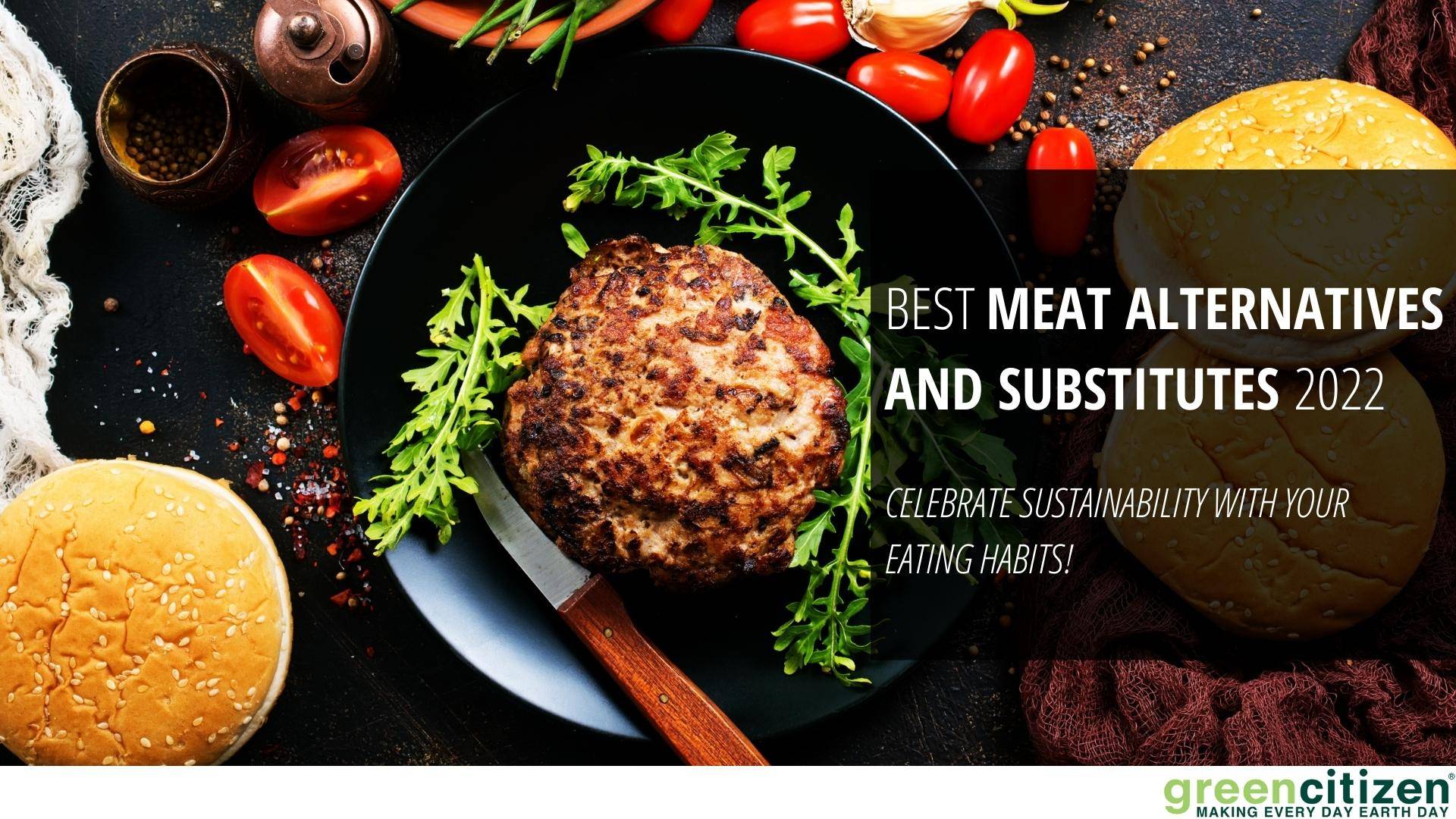 Best Meat Alternatives and Substitutes