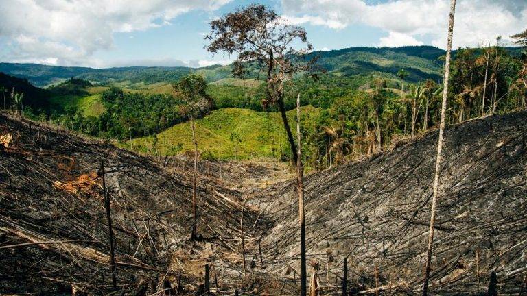 Indigenous Ecuador Residents Block Mining of Amazon