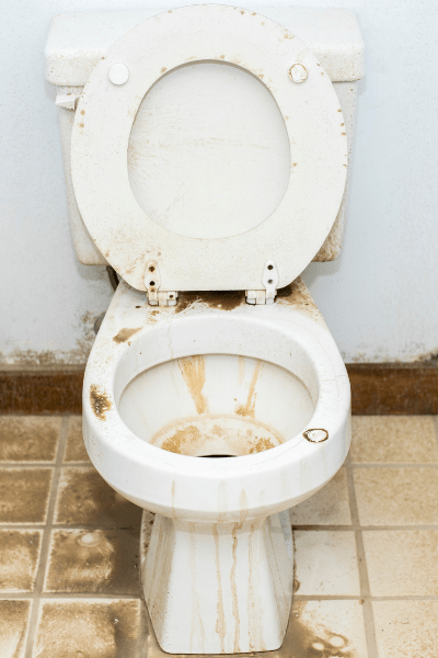 citric acid cleaner toilet cleaning