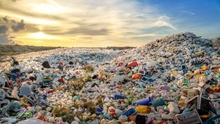Enzymes Could Be The Solution To Plastic Waste