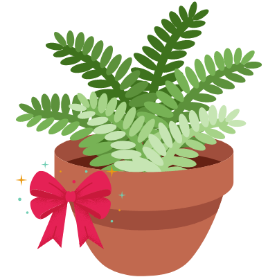 Plants as birthday gift