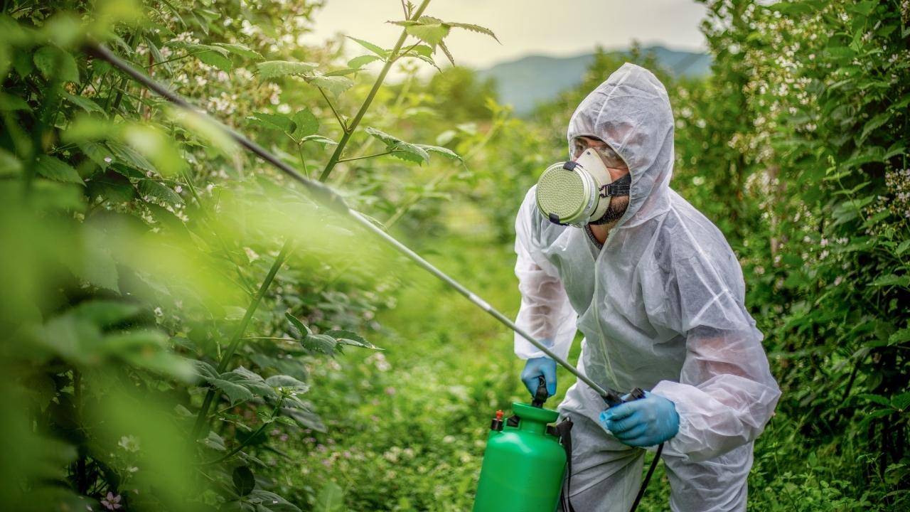 California Judge Rules Against Pesticide Spraying Program