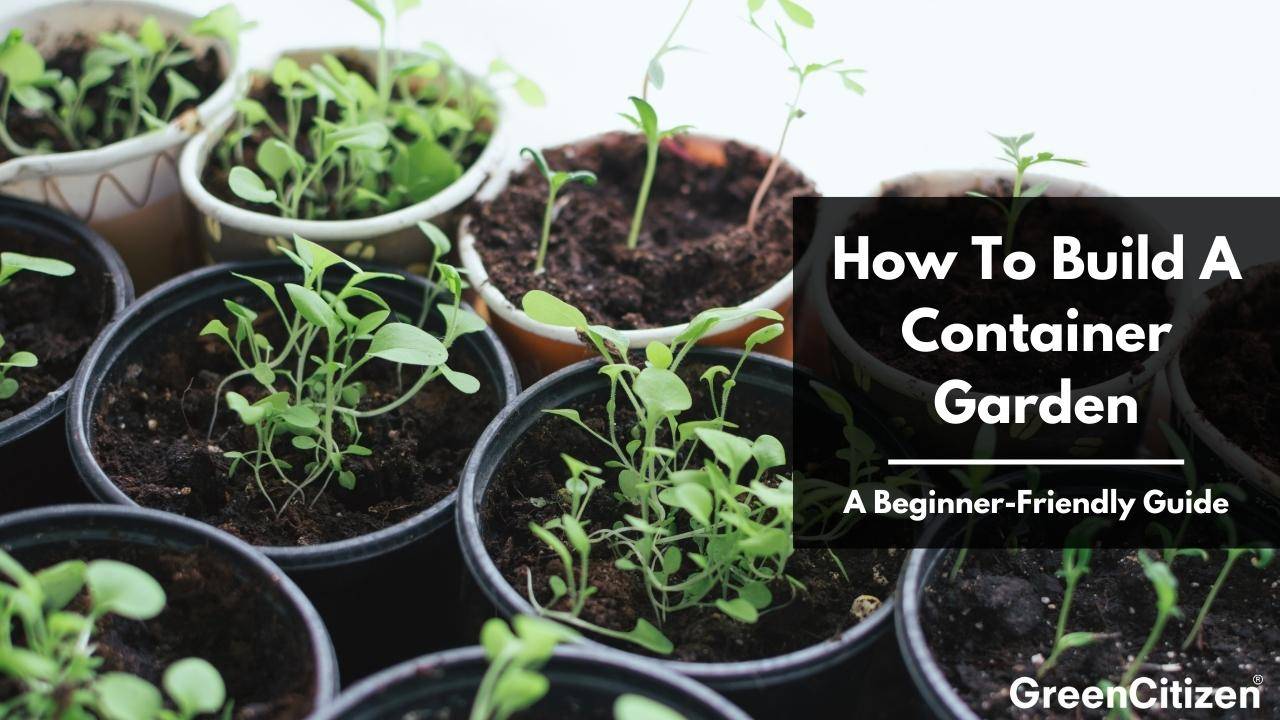 How To Build A Container Garden