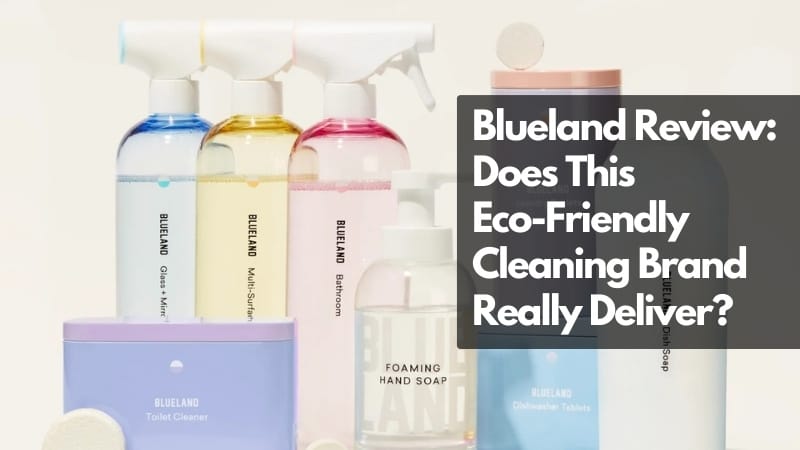 Blueland review