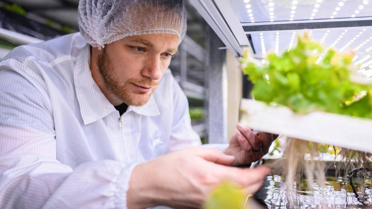 The UK Sees a Boost in Vertical Farming