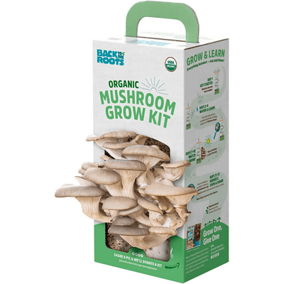 Back to the Roots Organic Mushroom Growing Kit Christmas gift