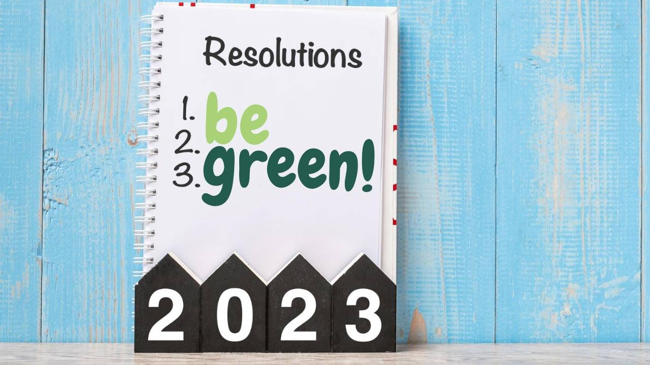 Sustainable New Years Resolutions