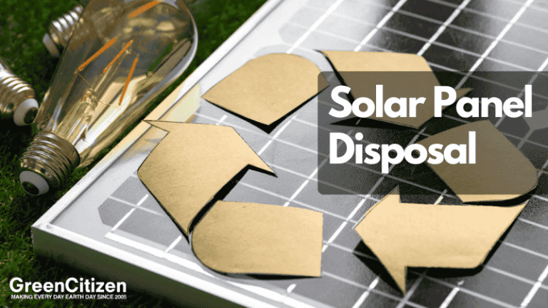 solar panel disposal