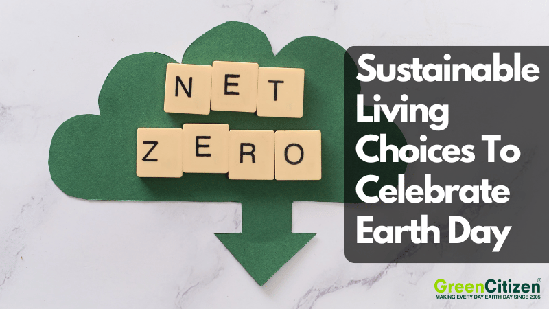 Sustainable Living Choices To Celebrate Earth Day