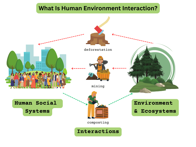 Understanding the Types of Human Environment Interaction