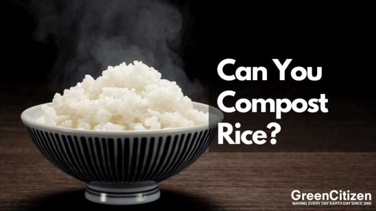 Can You Compost Rice Without Attracting Pests?