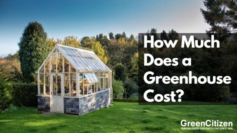 How Much Does a Greenhouse Cost