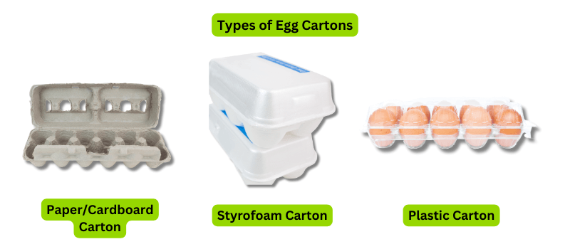 Dispose of Egg Cartons Right