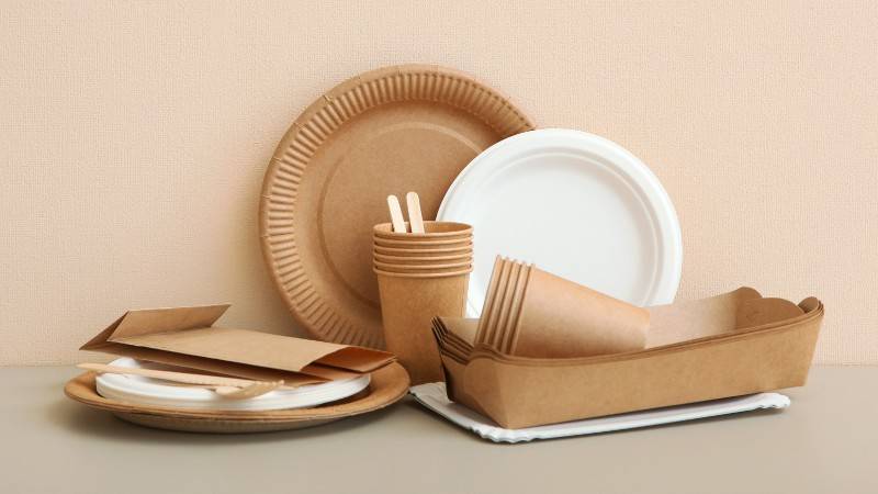 https://greencitizen.com/wp-content/uploads/2023/08/are-paper-plates-biodegradable.jpg