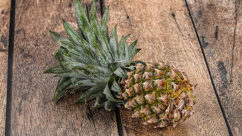 Can You Compost Pineapple? – Lomi