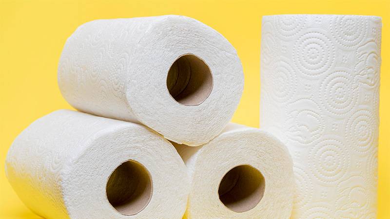 https://greencitizen.com/wp-content/uploads/2023/10/How-quickly-do-paper-towels-decompose.jpg