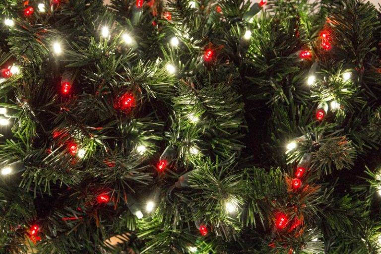 How to Recycle Christmas Tree Lights This Holiday Season GreenCitizen