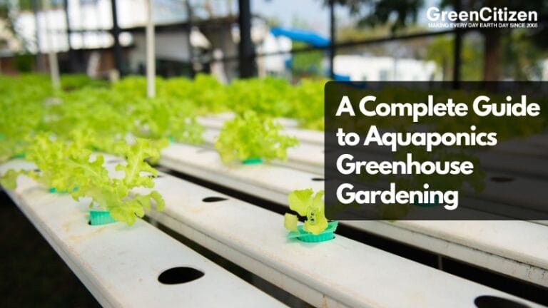 Aquaponics Greenhouse