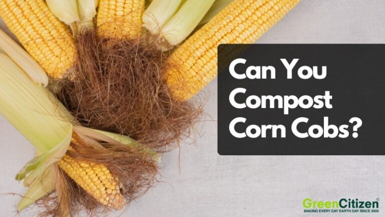 Can You Compost Corn Cobs