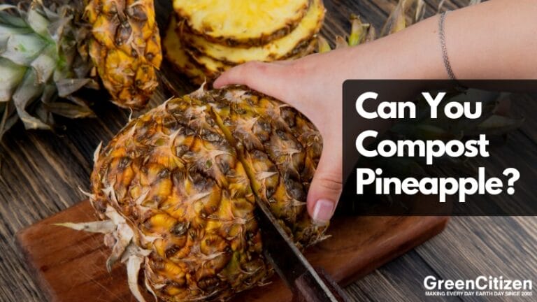 Can You Compost Pineapple