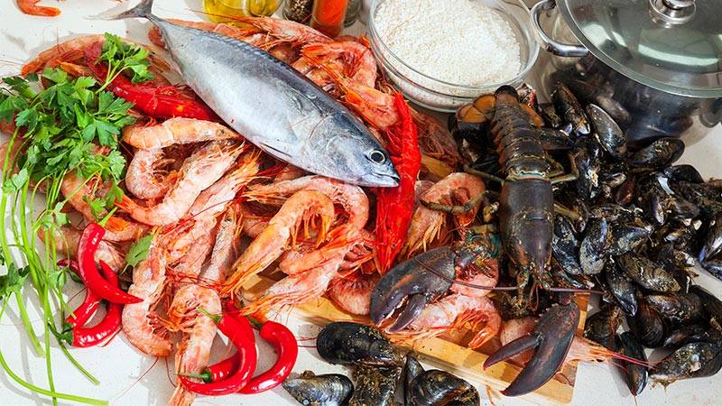 Explore a Variety of Seafood