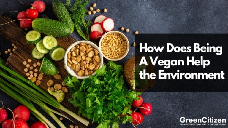 How Does Being A Vegan Help the Environment