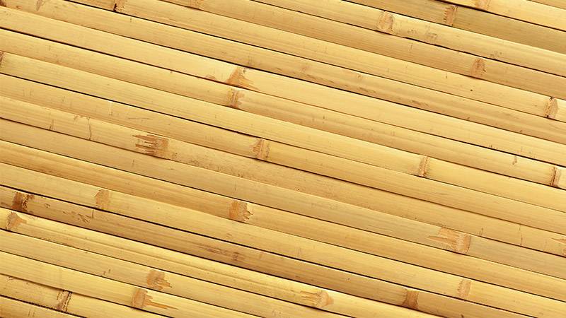 Bamboo Flooring