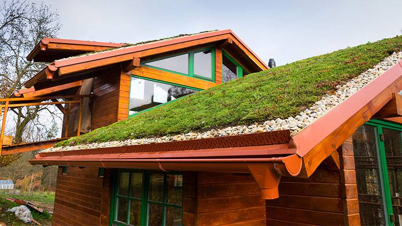 Green (Living) Roofs