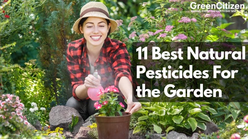Natural Pesticides for the garden