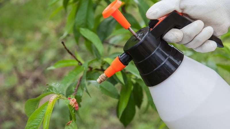 pepper spray as Natural Pesticides