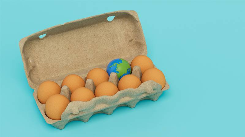 Are Egg Cartons Compostable