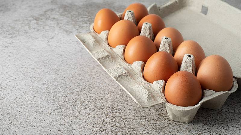 Are Paper Egg Cartons Biodegradable