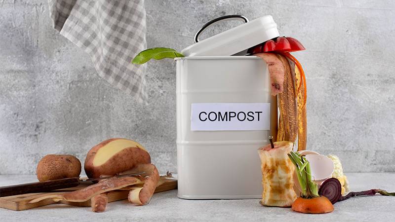 Choosing the Right Setup for Your Worm Composting Bin