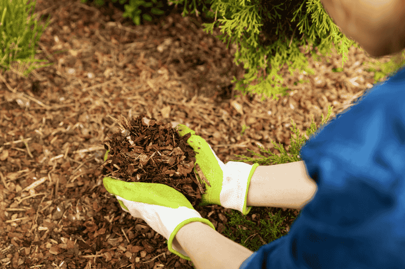 wood mulch