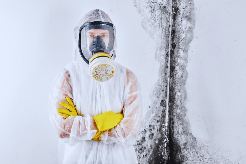 What Do Professionals Use to Kill Mold