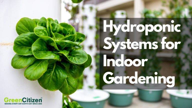 Hydroponic Systems for Indoor Gardening