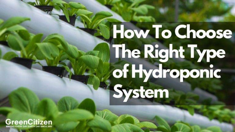 How To Choose The Right Type of Hydroponic System
